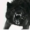 Ray Francisco - @ray.francisco1 - TikTok