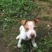 Ray Frazier - Facebook