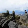 raygalindo191 - @raygalindo_viajero - TikTok