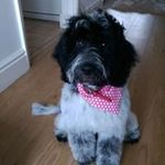 Ray Garner - @rdg37818 - Instagram
