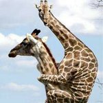 Ray Gates - @ray.gates.167 - Instagram