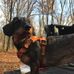 Ray Germain - Facebook