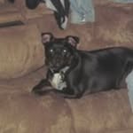 Larry Ray Goodman - @goodman0129 - Instagram