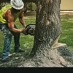Ray T. Goodson - @ray.goodson.17 - Instagram