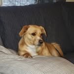 Ray Goodwin - @whatagoodwin75 - Instagram