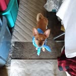 Ray Goodwin - @ray.goodwin.773 - Instagram