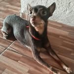 @ray_granger4 - Instagram