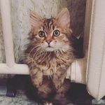 Ray Grey - @ray2016grey - Instagram