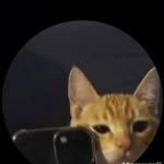 Ray Grey - @just.ray1 - Instagram