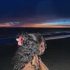 raygrier - @grierrr - TikTok