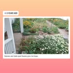 Ray Groves - @ray3941129 - Instagram
