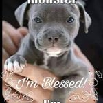 Ray Grubb - @towmunger74 - Instagram