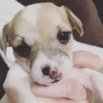 raylie gurley - @gurleyraylie1 - Instagram