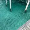 RayHailey13 - @rayhailey13 - TikTok