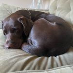 @rayna_queen_halstead - Instagram