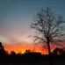 Ray Harden - Facebook