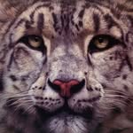 Ray Hare - @rayhareartist - Instagram