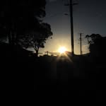 Ray Hare - @sillyduffer - Instagram