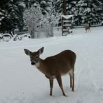 Ray Hatcher - @rayrhatcher - Instagram