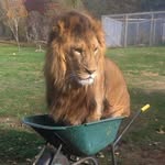 Ray Hatcher - @hat23er - Instagram