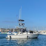 Capt Ray Heinrich - @locomocean_sportfishing - Instagram
