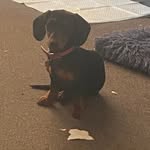 Raylene Hemphill - @raylene.hemphill - Instagram