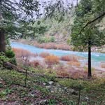 Ray Herrmann - @rherrmann1957 - Instagram