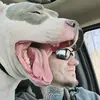 Ray Herron - @ray.herron6 - TikTok