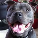 Ray Hewitt - @hewittray - Instagram