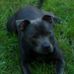 Ray Hewitt - Facebook