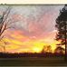 Ray Hilburn - Facebook