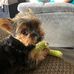Ray Holbrook - Facebook