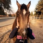 Ray - @rayhole - Instagram