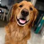 Homer Ray Gassaway - @homer_the_ray - Instagram