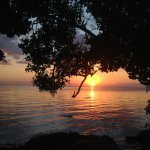 Ray Van Hook - @patriotflyer - Instagram