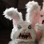 Ray Hynes - @paddyn_obrains - Instagram