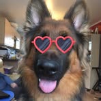Ray Hynes - Facebook