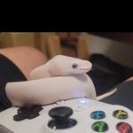 Ray Irizarry - @ray.irizarry - Instagram