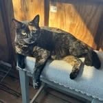 Ray Isaacs - @rayisaacs66 - Instagram