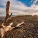 Ray Ivey Photography - Facebook