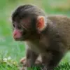 Ray Jansen - @ray.jansen4 - TikTok