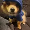 rayjansen - @rayjansen53 - TikTok