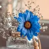 rayh Al-Ajarman - @rayh.alajarman - TikTok