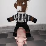 ray jonas - @rayjonas85 - Instagram