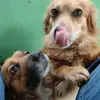Ray_julian - @ray_julian - TikTok
