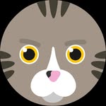 레이 - @ray.keen.cat - Instagram