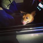 Scotty Ray Kenyon - @scottraykenyon - Instagram