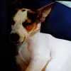 raykernsr. - @raykernsr - TikTok