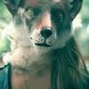 raykimber155 - @raykimber155 - TikTok