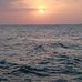 Ray King - Facebook